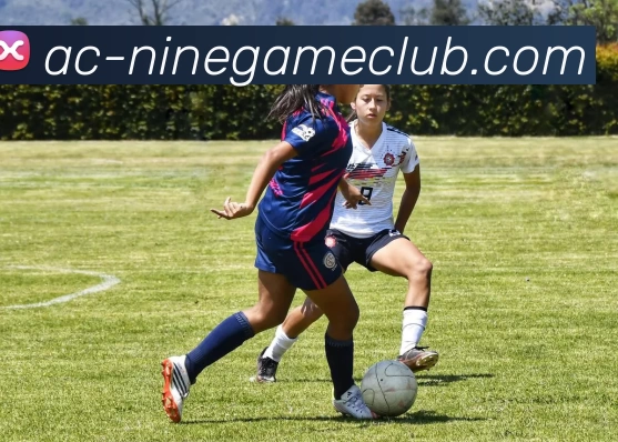 App Interface Preview